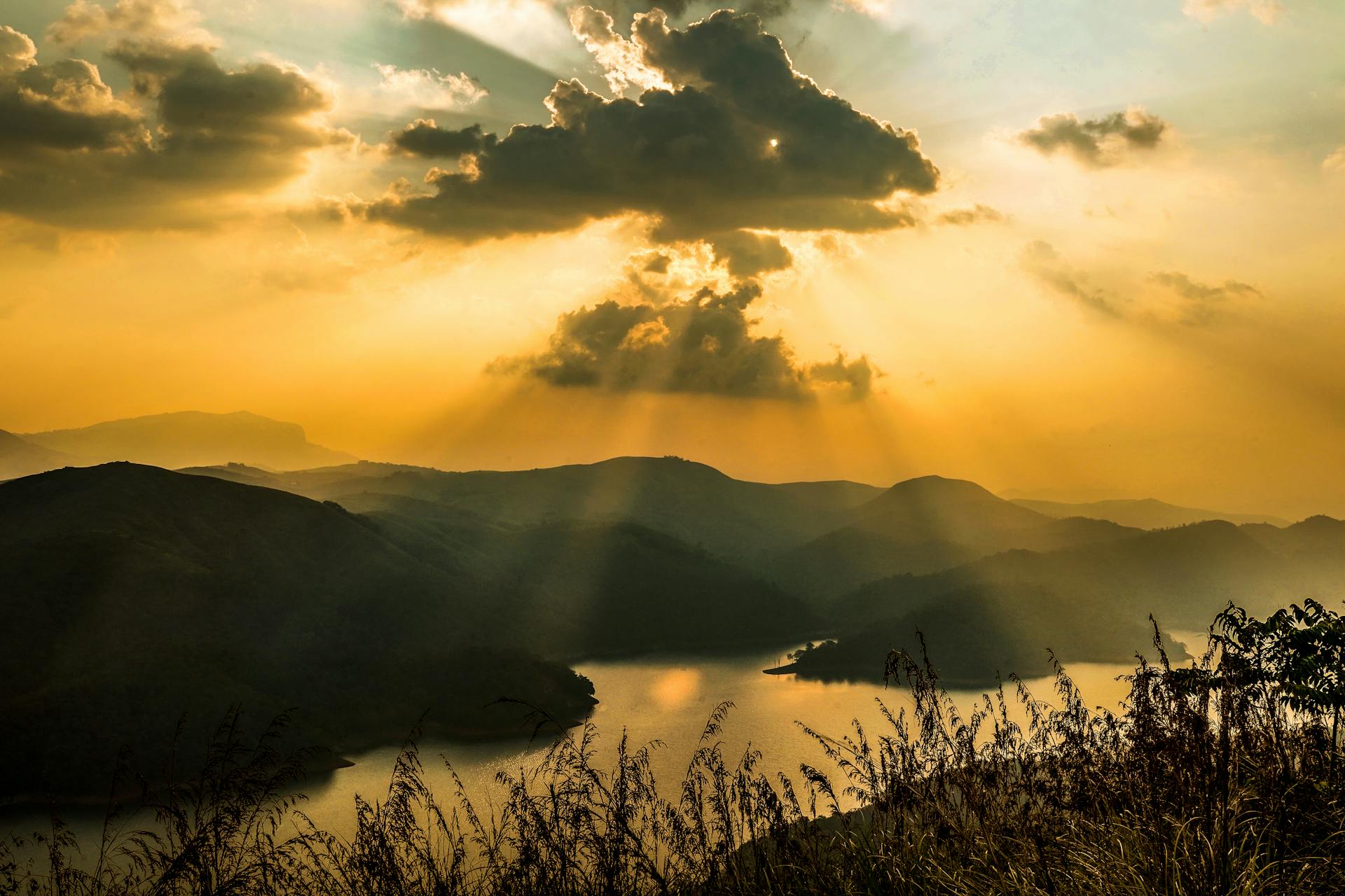 What to do in Wayanad?