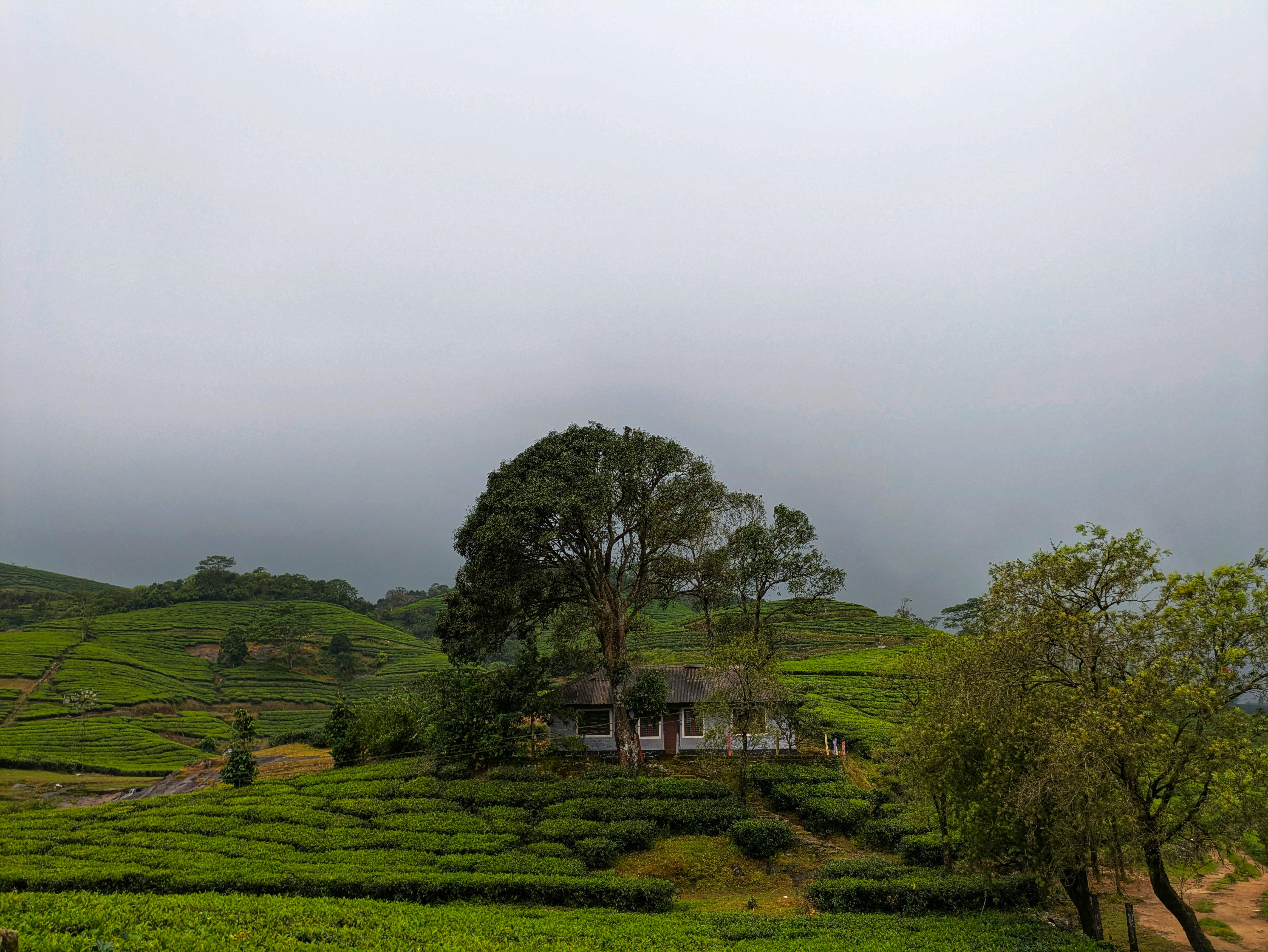 Why visit Vagamon?
